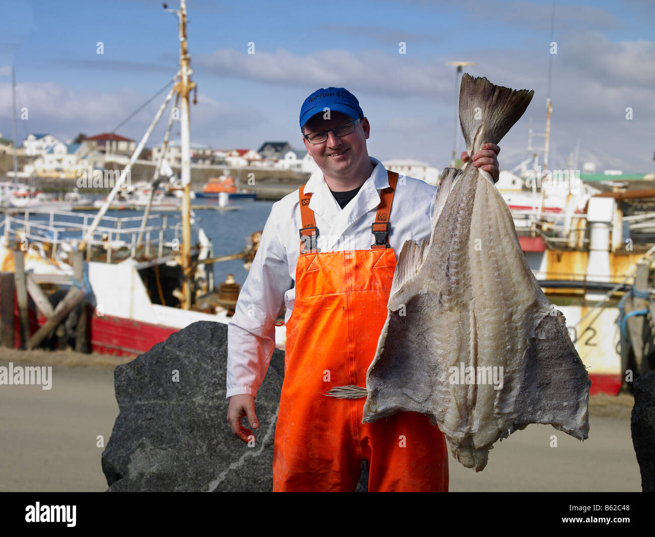 Pescatore con pesce salato a porto, Hornafjordur fiordo, Islanda Orientale Foto Stock