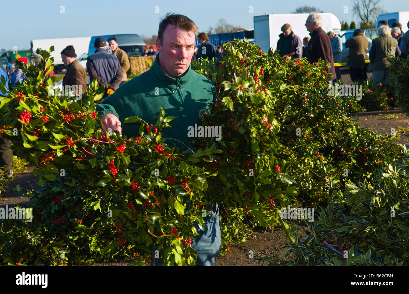 Commercio all'ingrosso annuale asta di taglio agrifoglio e vischio per le decorazioni di Natale a Little Hereford, Shropshire, Inghilterra, Regno Unito Foto Stock