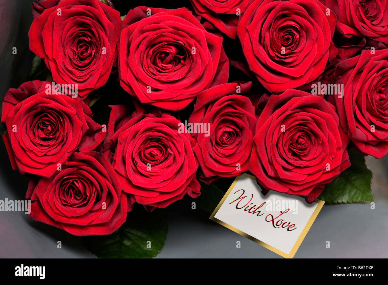 Rose rosse con biglietto di auguri Foto Stock