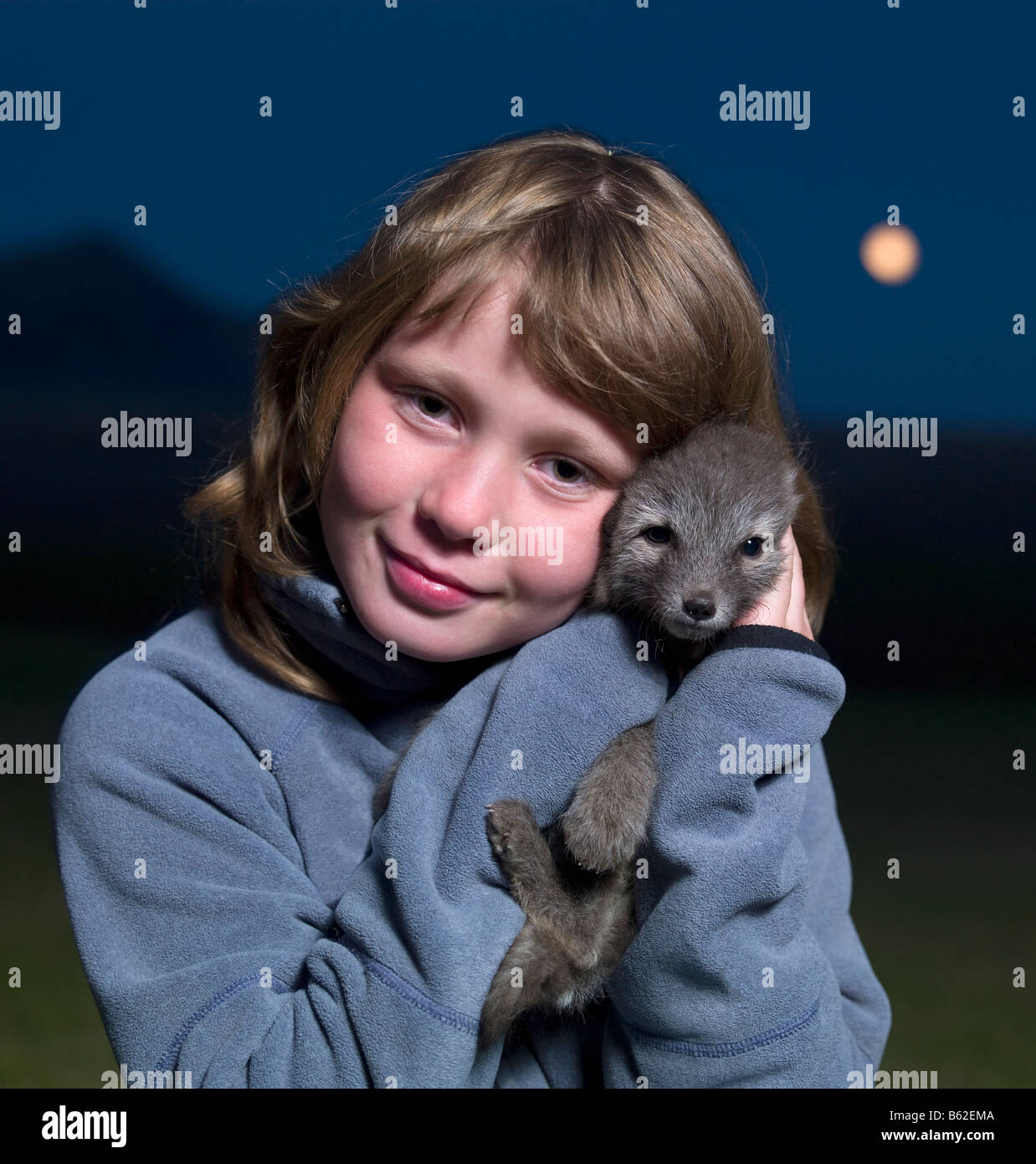 Ragazza con baby volpe artica, Islanda Foto Stock