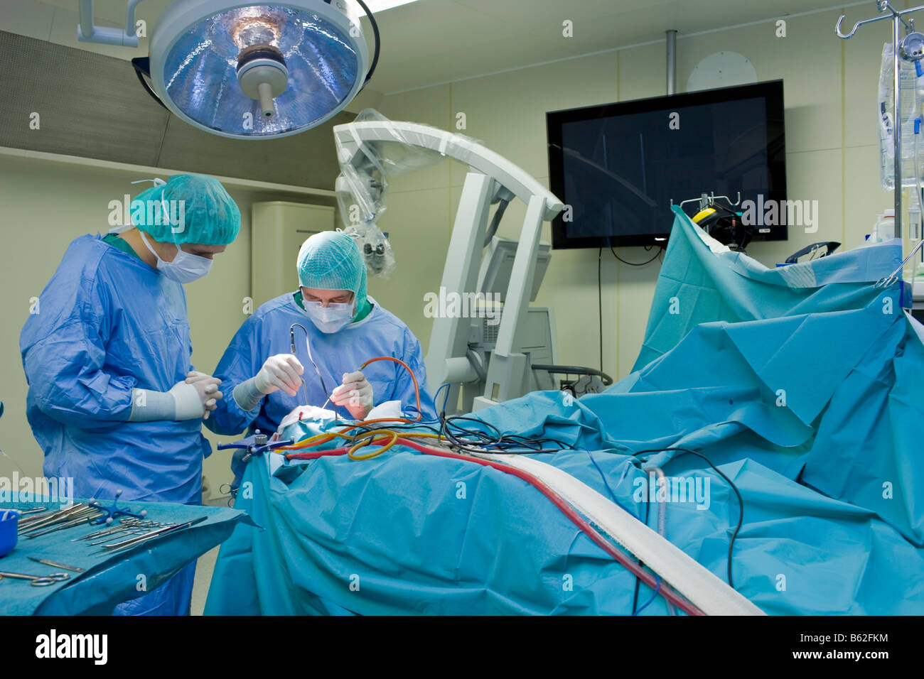 Neurochirurgia rimuovendo una benigna tumore al cervello, Reykjavik, Islanda Foto Stock