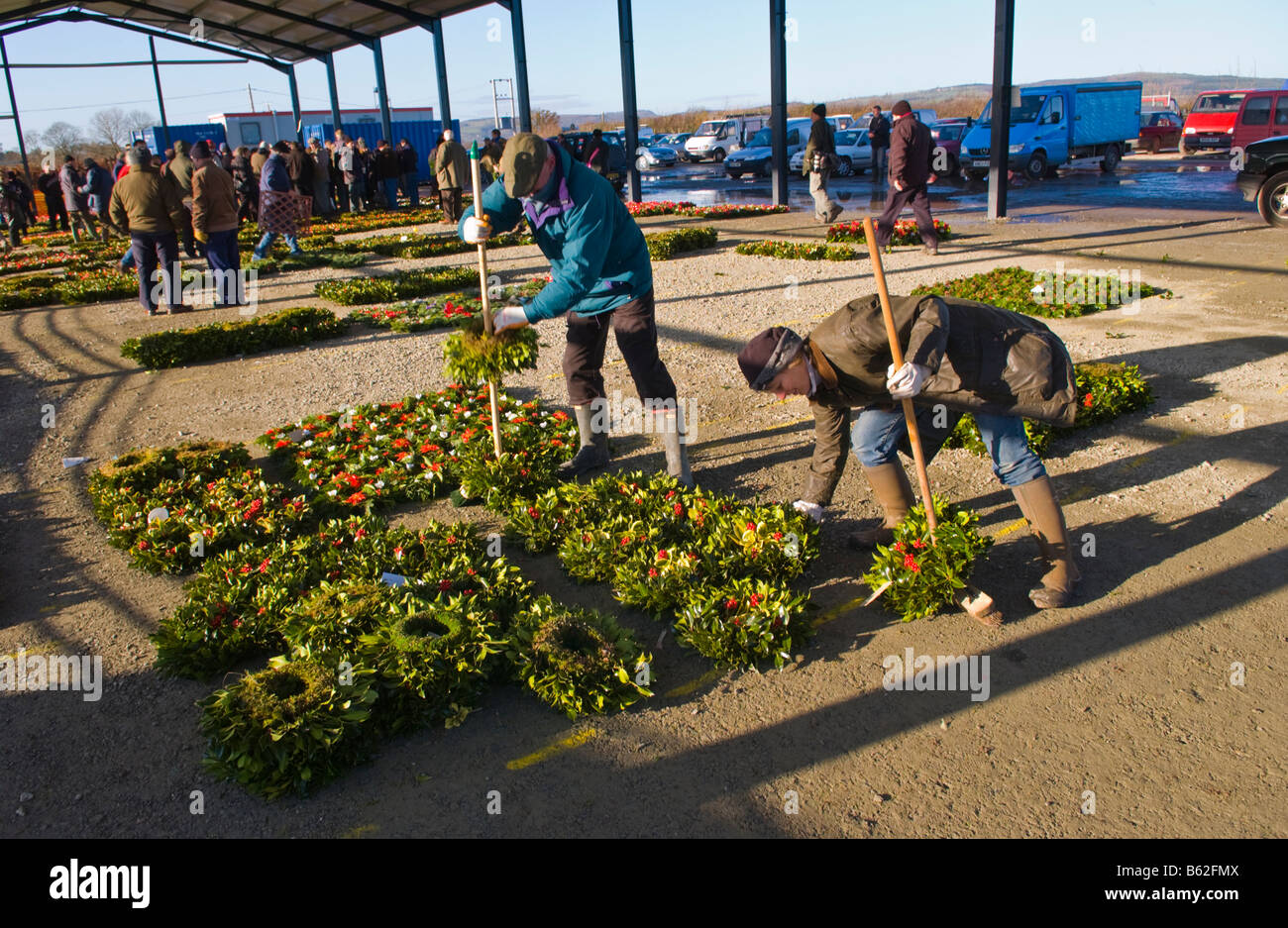 Commercio all'ingrosso annuale asta di ghirlande, agrifoglio e vischio per le decorazioni di Natale a Little Hereford, Shropshire, Inghilterra, Regno Unito Foto Stock