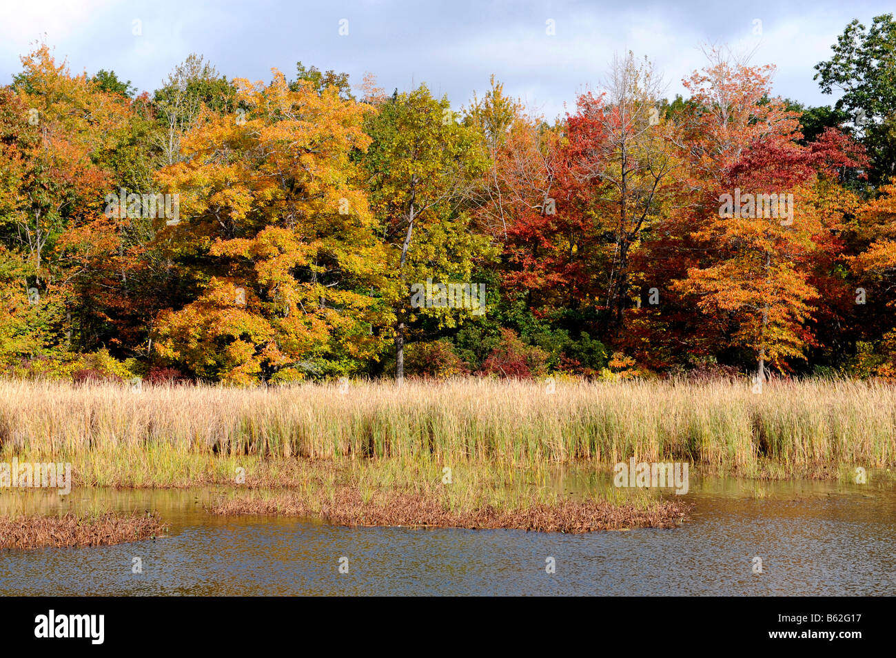 Scenic vista in Presque Isle State Park Erie in Pennsylvania lungo il Lago Erie Foto Stock