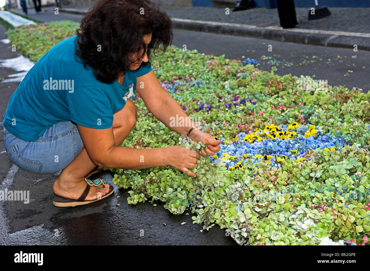 Donna locale preparando tappeto floreale sulla strada per la processione religiosa villaggio di Maia isola Sao Miguel Azzorre Foto Stock