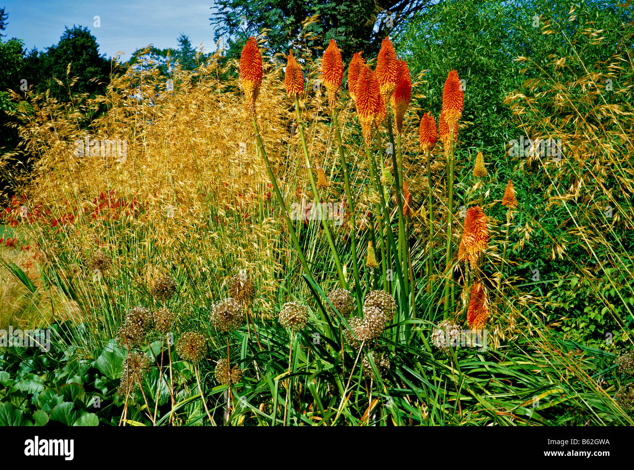 Nella tarda estate del confine a Cotswold Wildlife Park Foto Stock