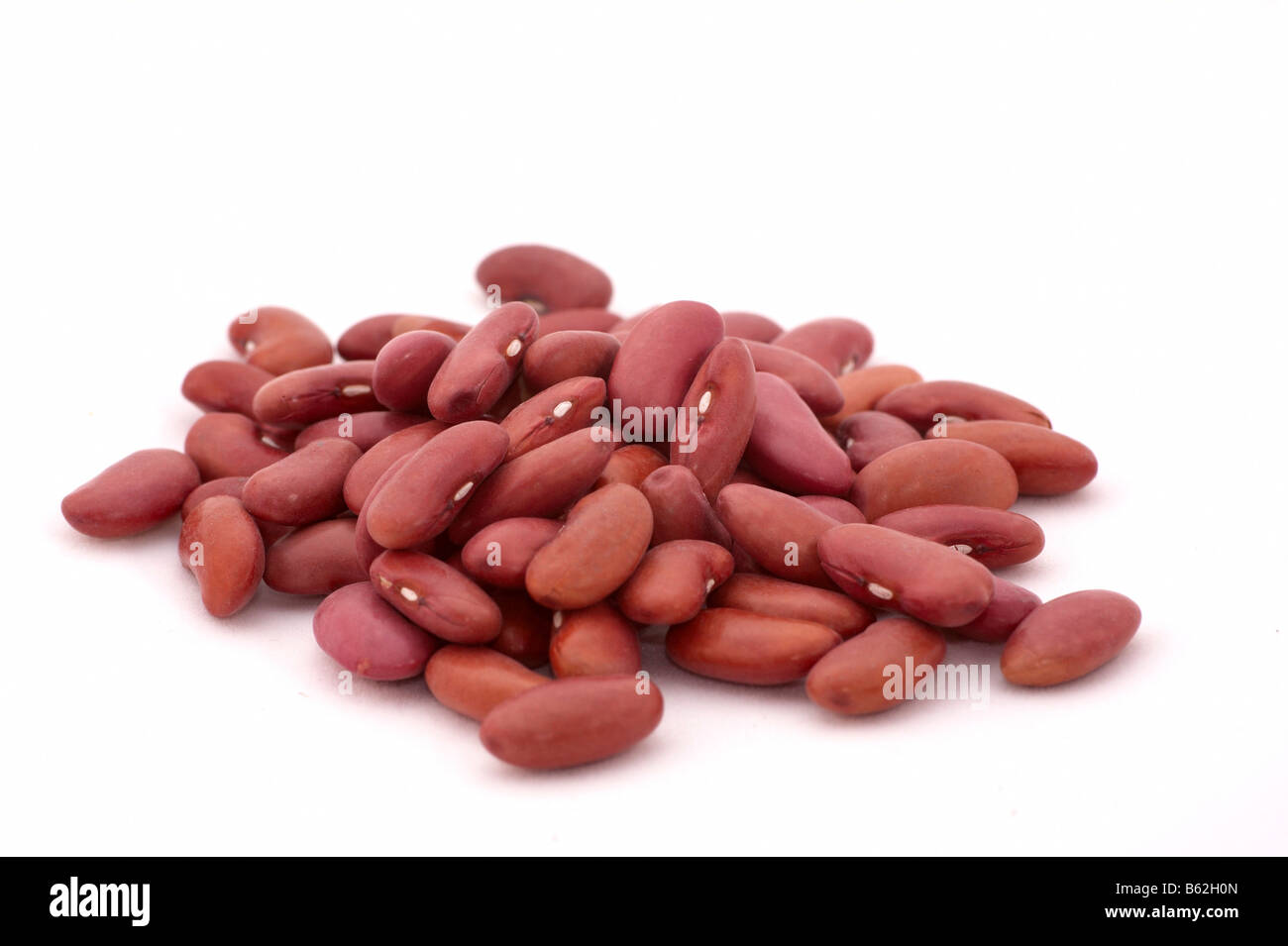 Piccolo mucchio di Fagioli bianchi su sfondo bianco Foto Stock