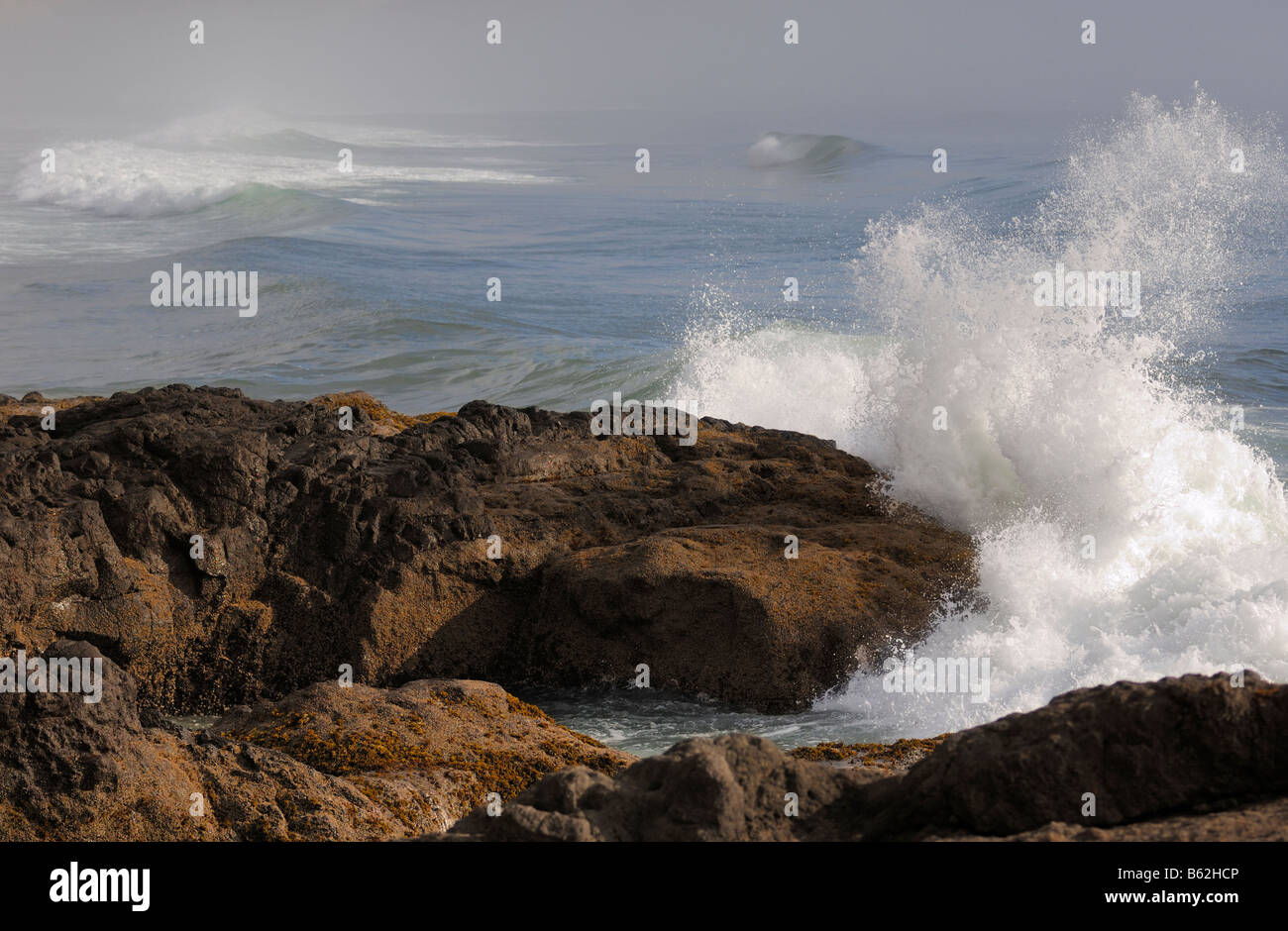 Onde si infrangono in riva lungo la Oregon Coast Cape Perpetua Oregon USA Foto Stock