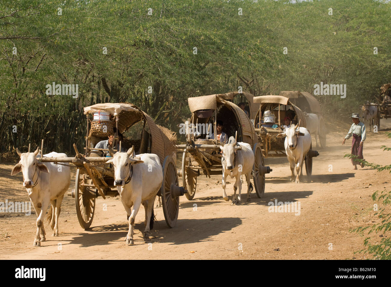 Ox carrello su una strada dustry Bagan Pagan MYANMAR Birmania Foto Stock