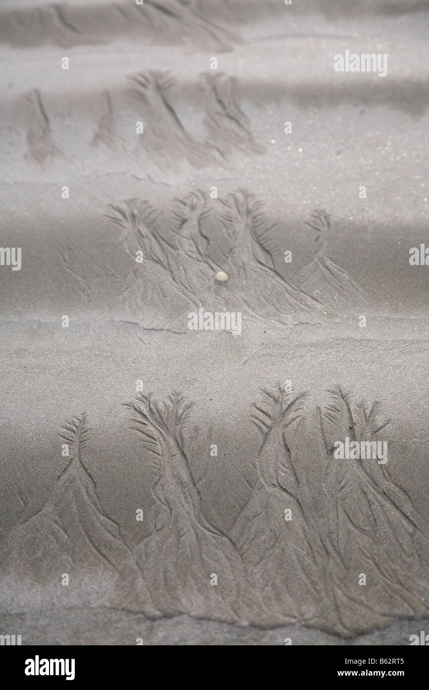 Erosione di acqua canali su una spiaggia di sabbia nella Contea di Galway, Repubblica di Irlanda. Foto Stock