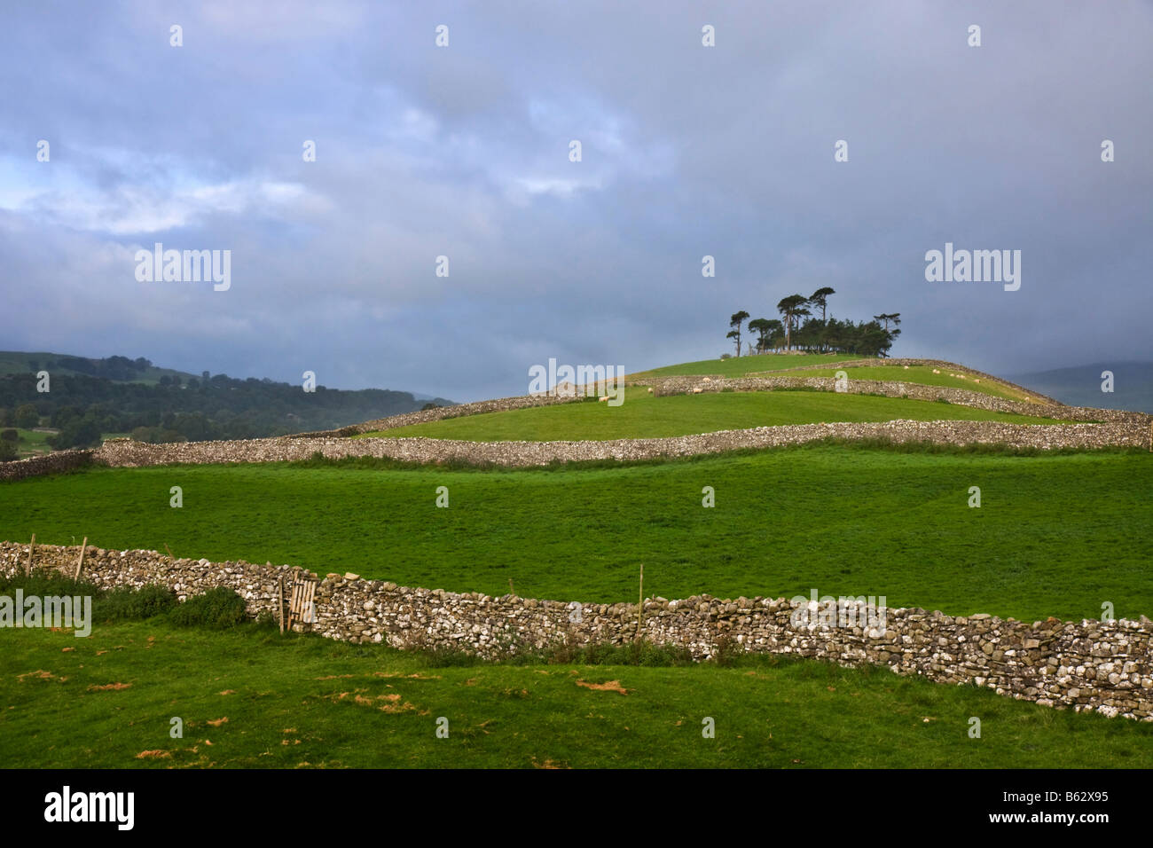 Lady Hill, Wensleydale, Yorkshire Dales Foto Stock