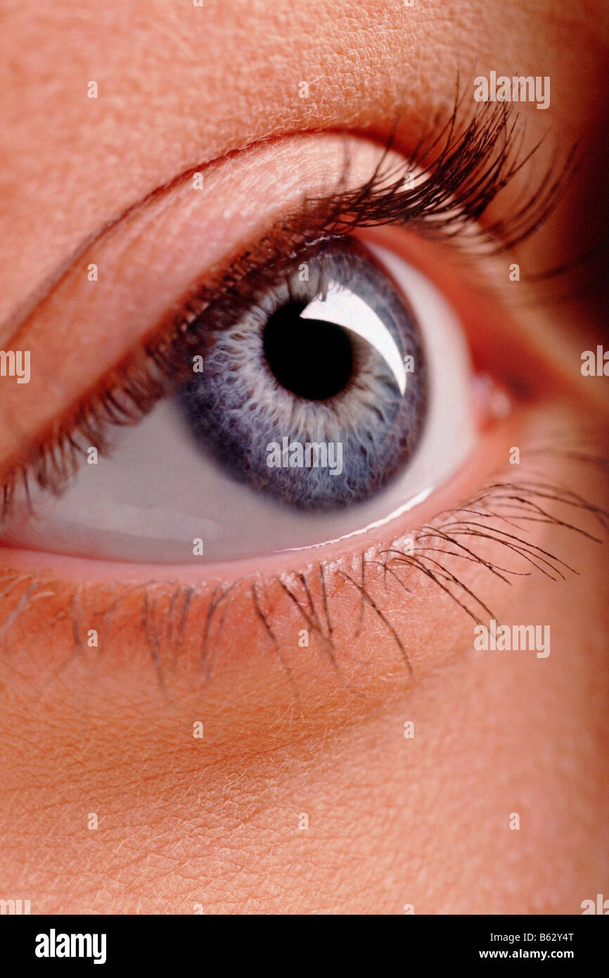 Close-up di un occhio umano Foto Stock