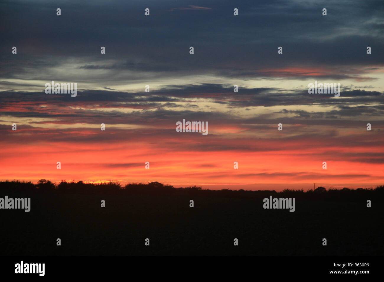 Nuvole cielo rosso tramonto alberi silhouette inverno skyline di previsione meteo pastori delizia su lincolnshre, Inghilterra Foto Stock