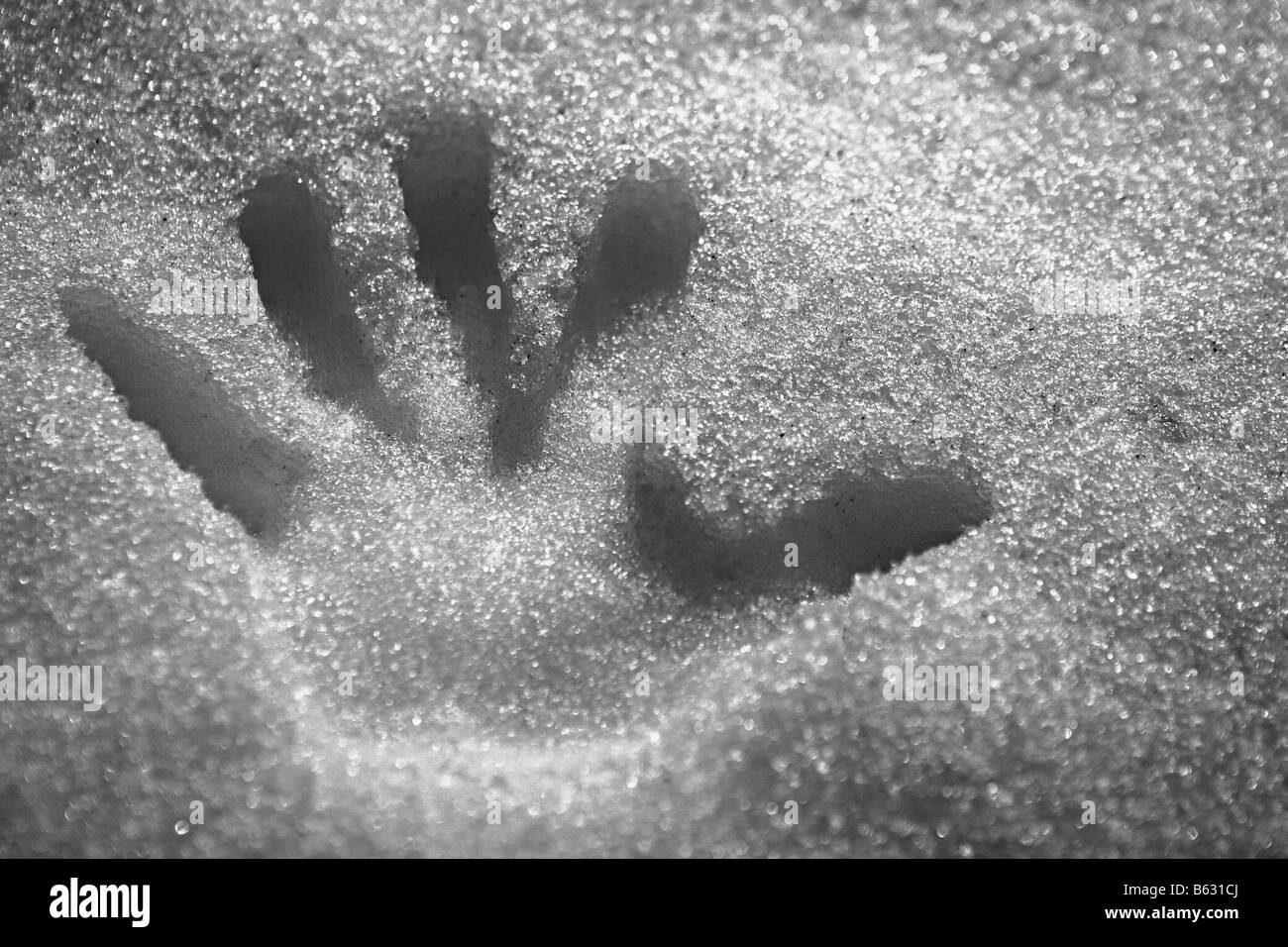 Close-up di un handprint nella neve Foto Stock