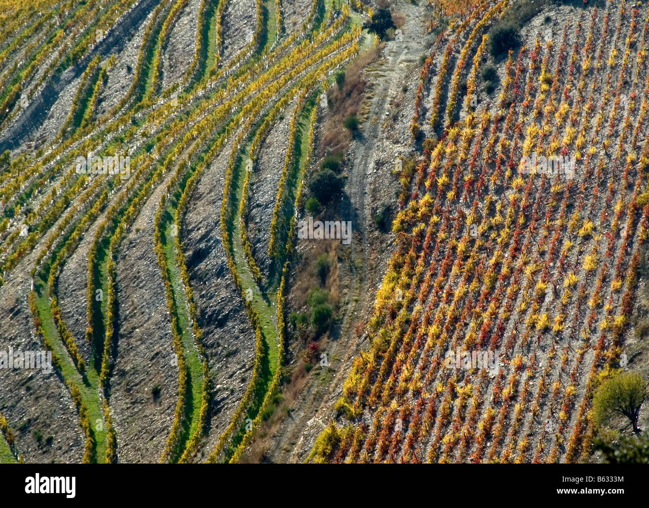 Il Portogallo, Valle del Douro in autunno Foto Stock