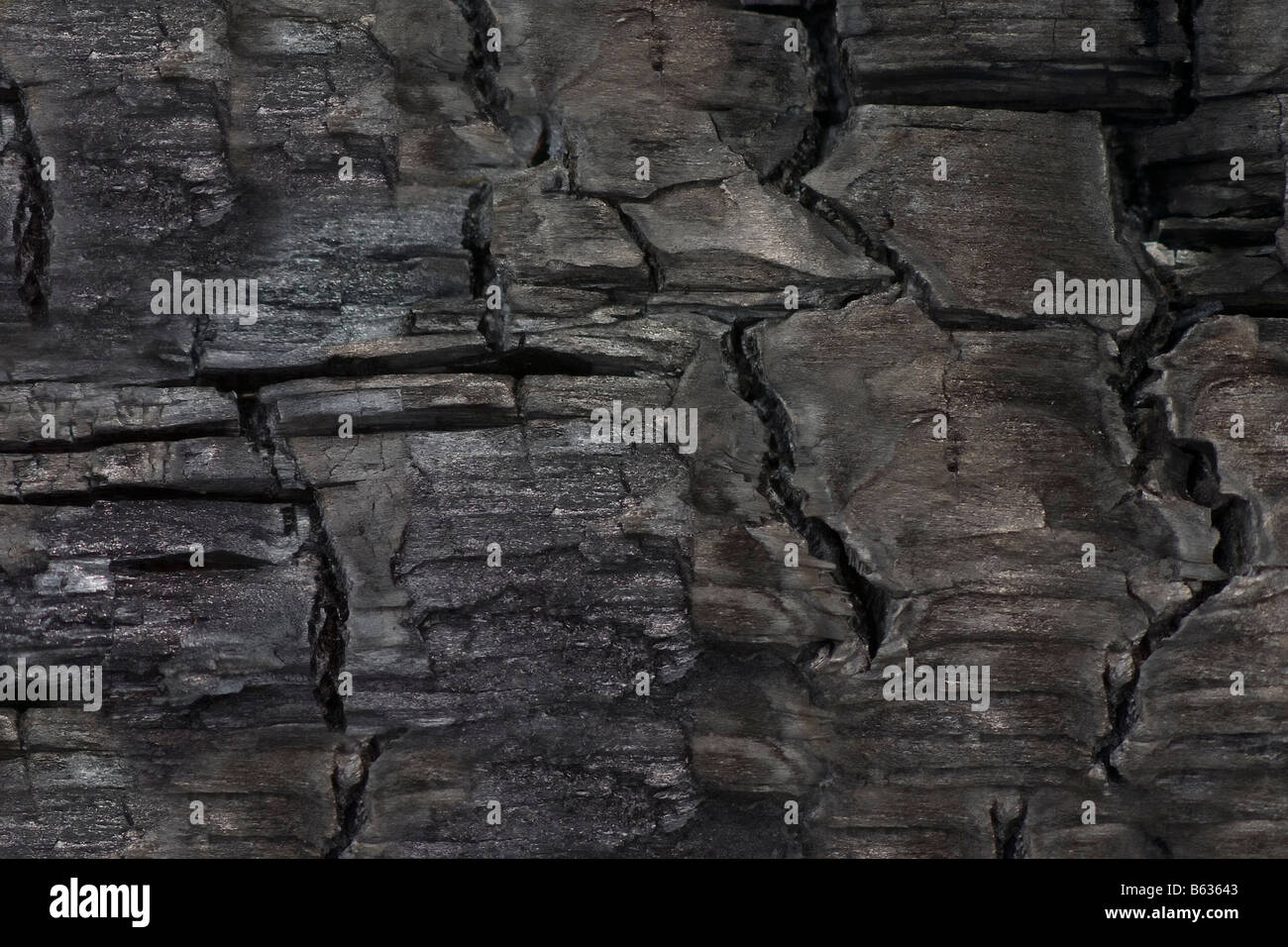 Close up di legno bruciato per uso come texture di sfondo Foto Stock