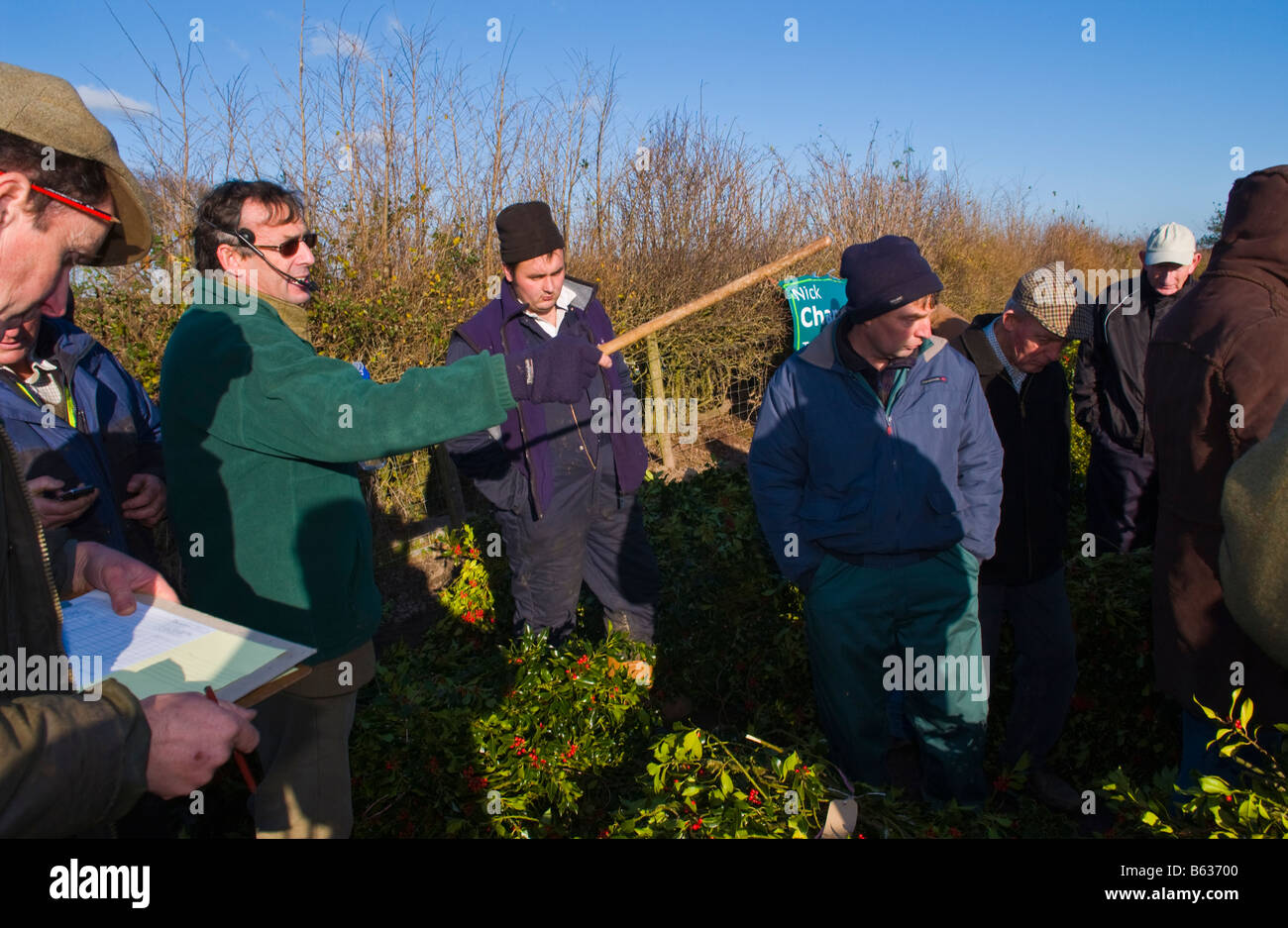 Commercio all'ingrosso annuale asta di taglio agrifoglio e vischio per le decorazioni di Natale a Little Hereford, Shropshire, Inghilterra, Regno Unito Foto Stock