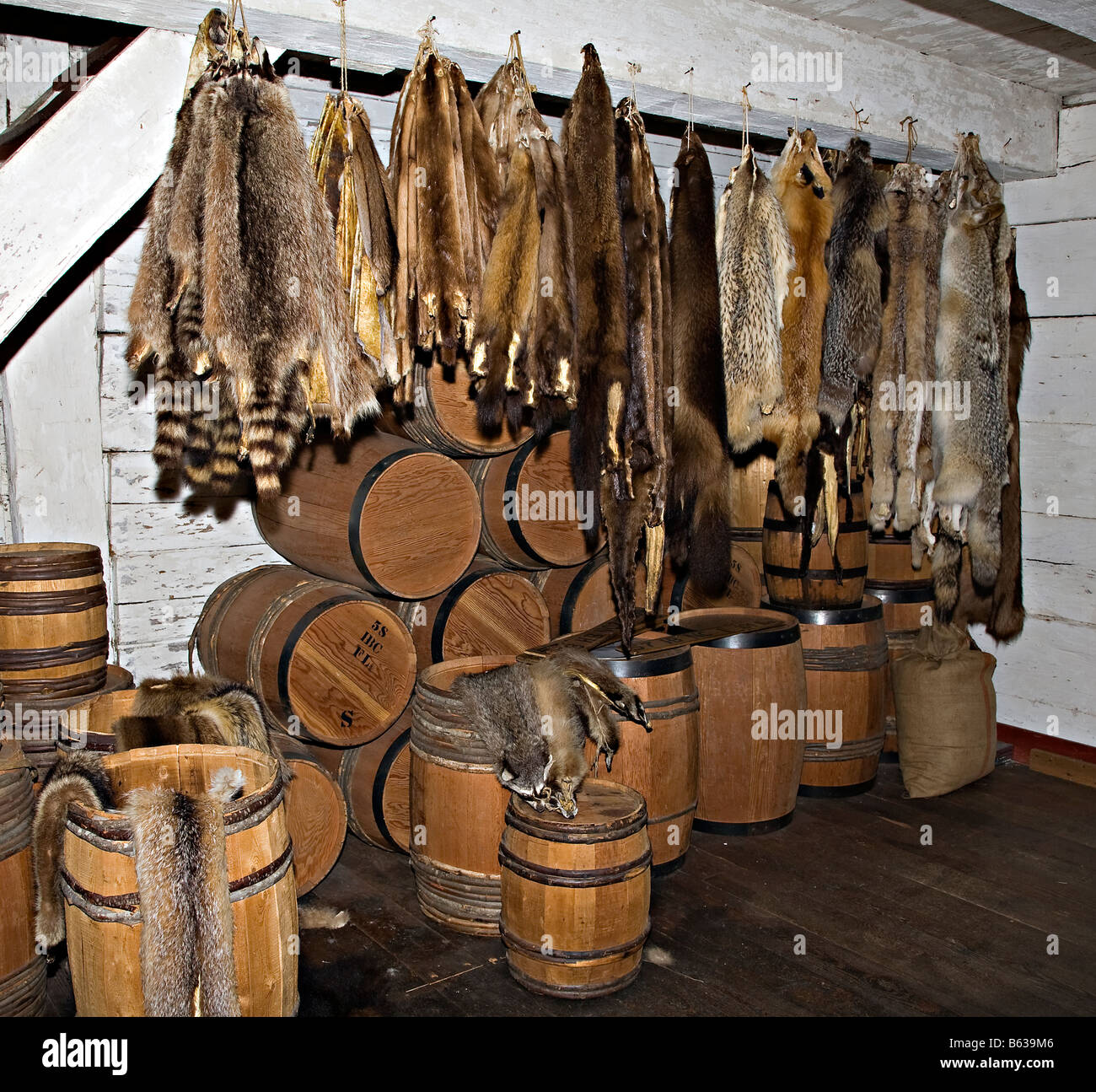 Pelliccia pellicce e barili all'interno del magazzino Fort Langley National Historic Site Fort Langley Canada. Foto Stock