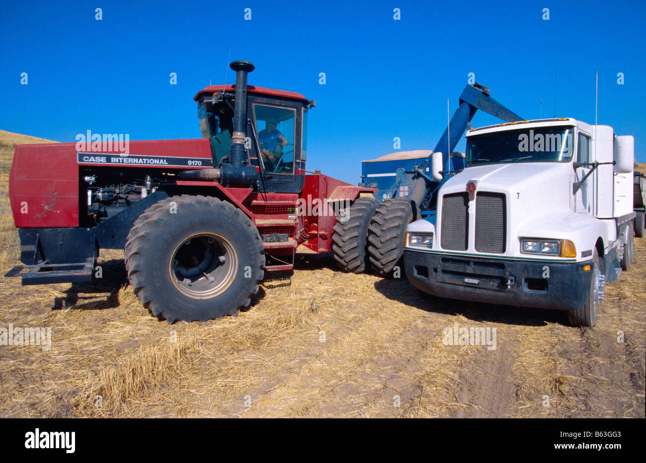 Un trattore che traina un carrello per granella di offload recentemente raccolto di grano in attesa di un carrello granella nella regione Palouse di Washington Foto Stock