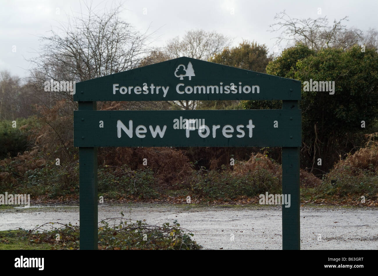 Commissione forestale segno New Forest" Foto Stock