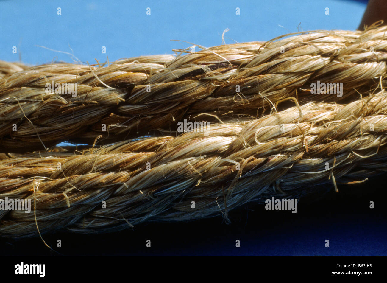 Vista ingrandita di due trefoli della fune. economia Foto Stock