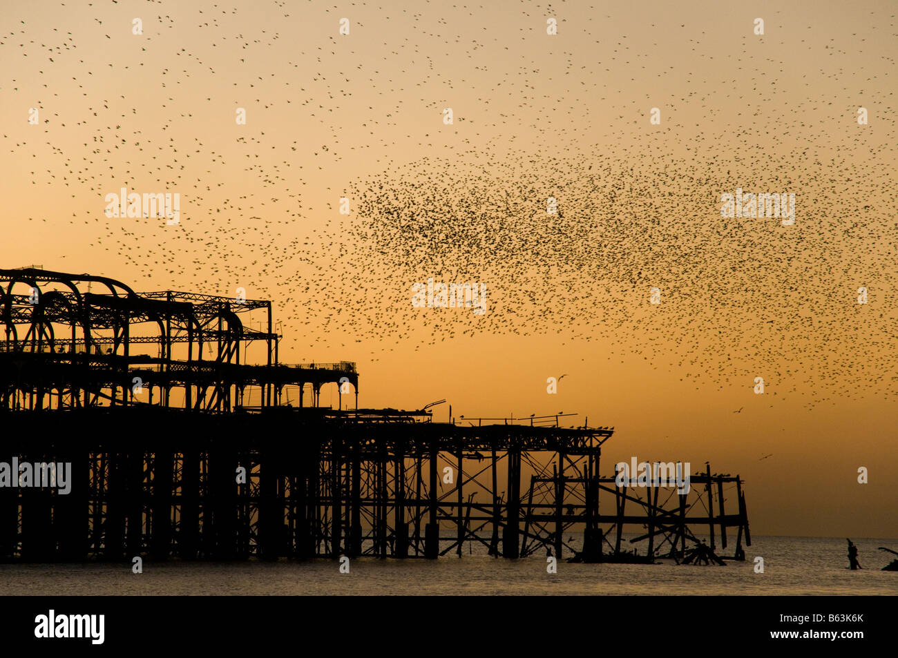 Un murmuration (branco di storni) volare sopra il Molo Ovest di Brighton Foto Stock