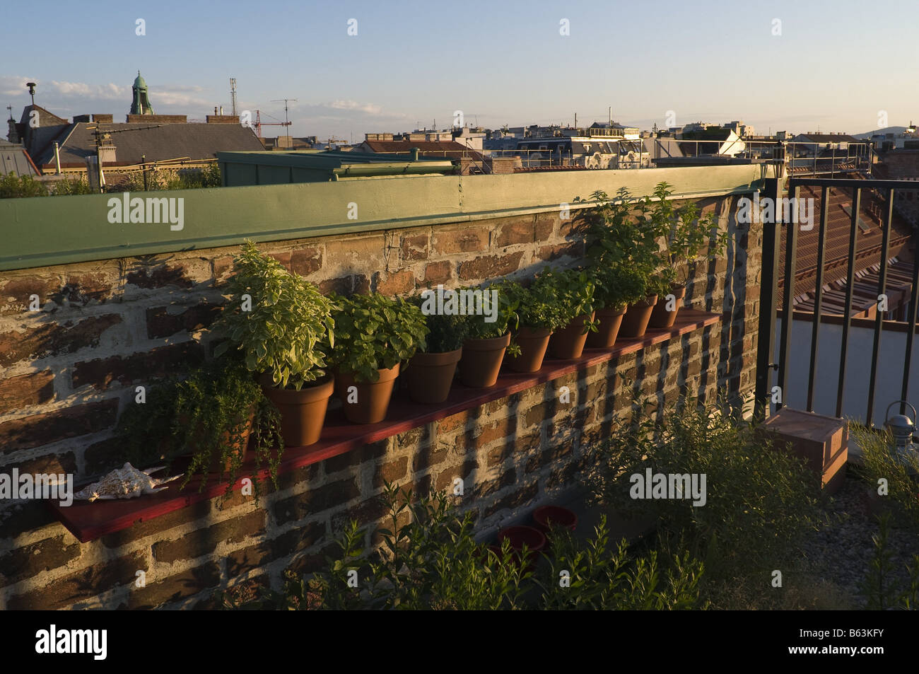 Dachgarten giardino sul tetto Foto Stock