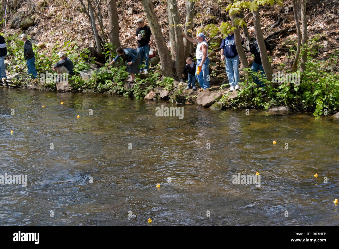 Il 2008 Duck Race è un evento utilizzato per gli enti locali il fund raising Foto Stock