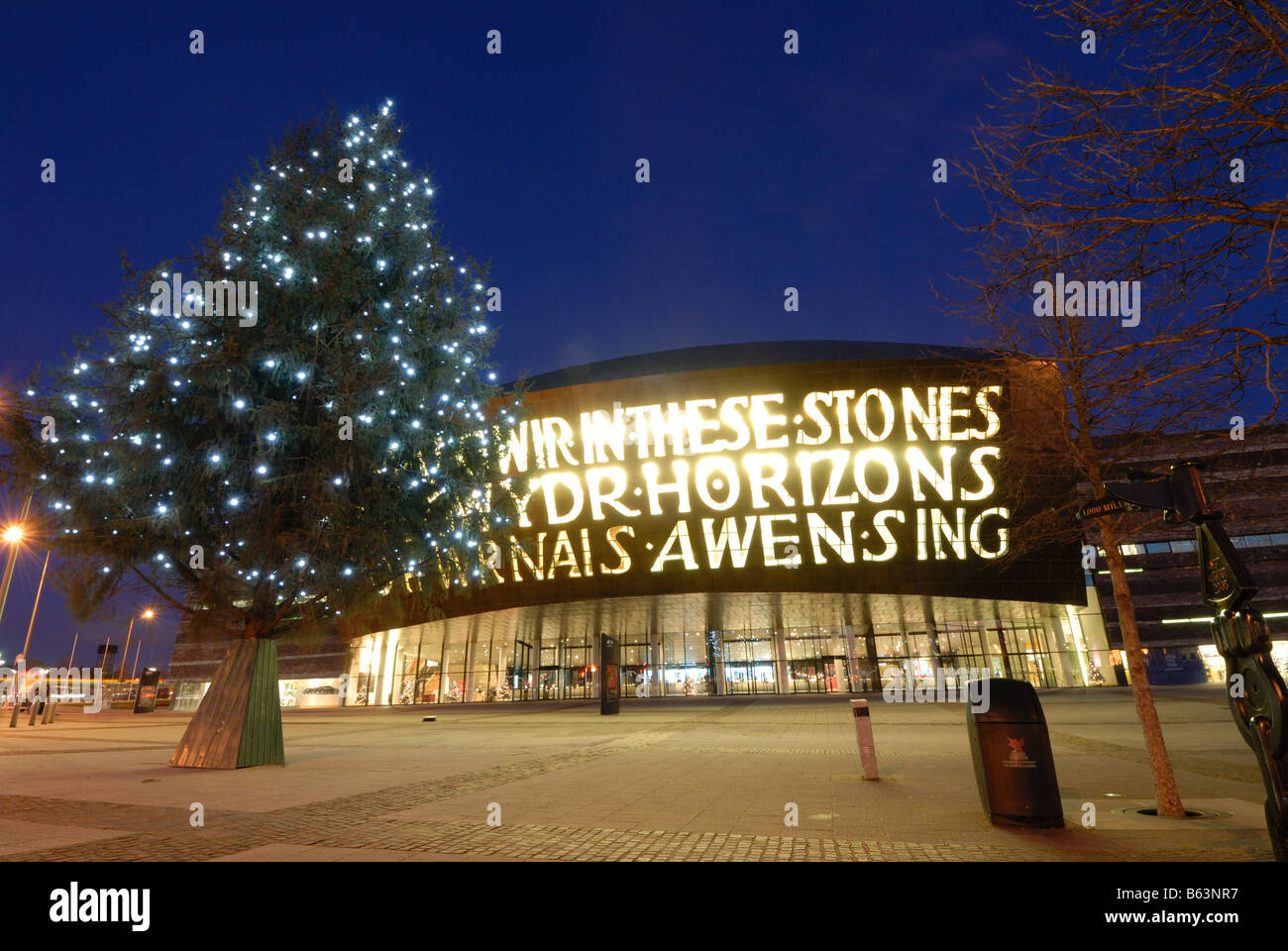 Il Wales Millennium Centre di Cardiff illuminata di sera con un albero di Natale al di fuori Foto Stock