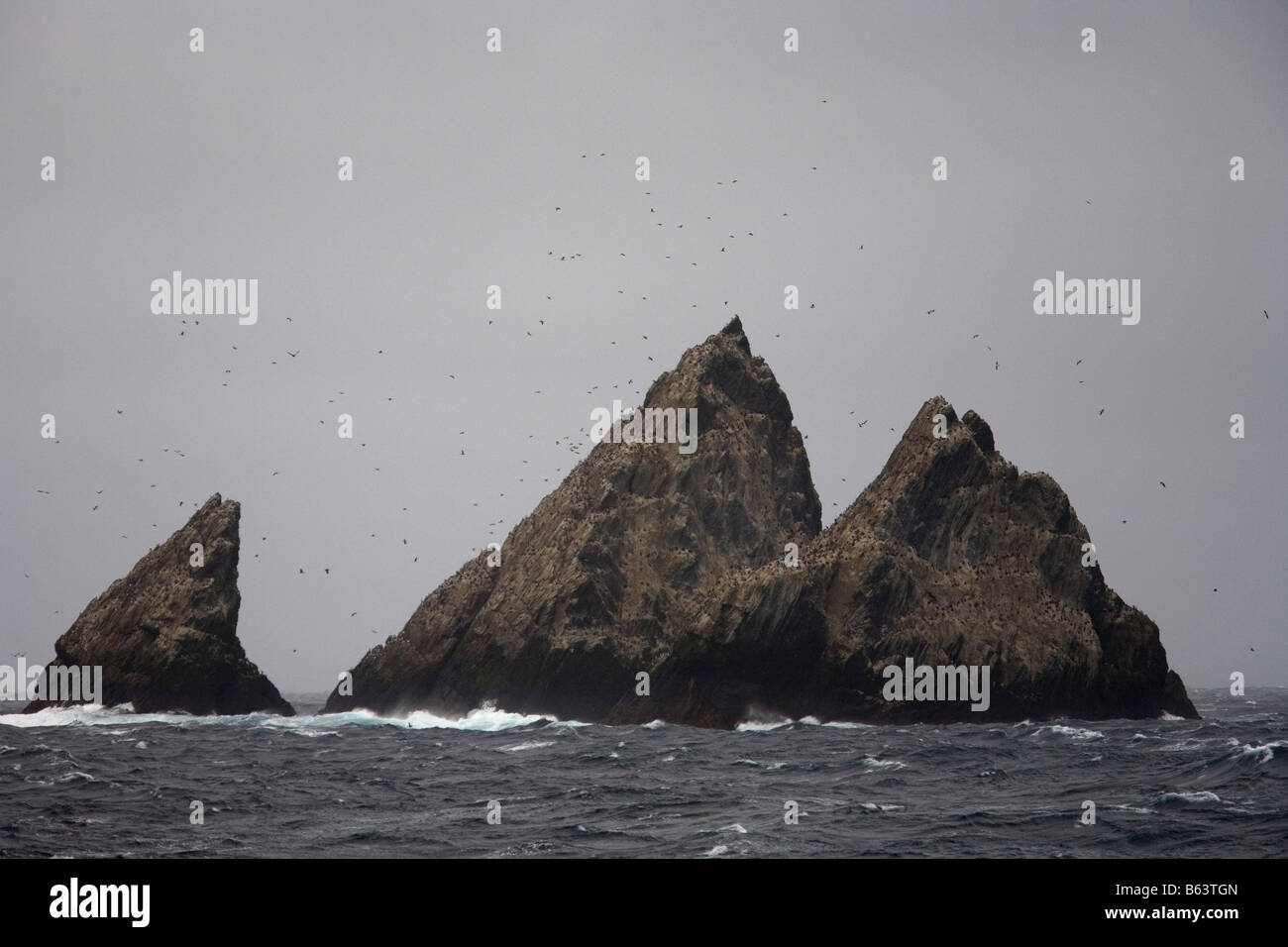 Shag Rocks in medio di Scotia Mare del Sud Atlantico Foto Stock