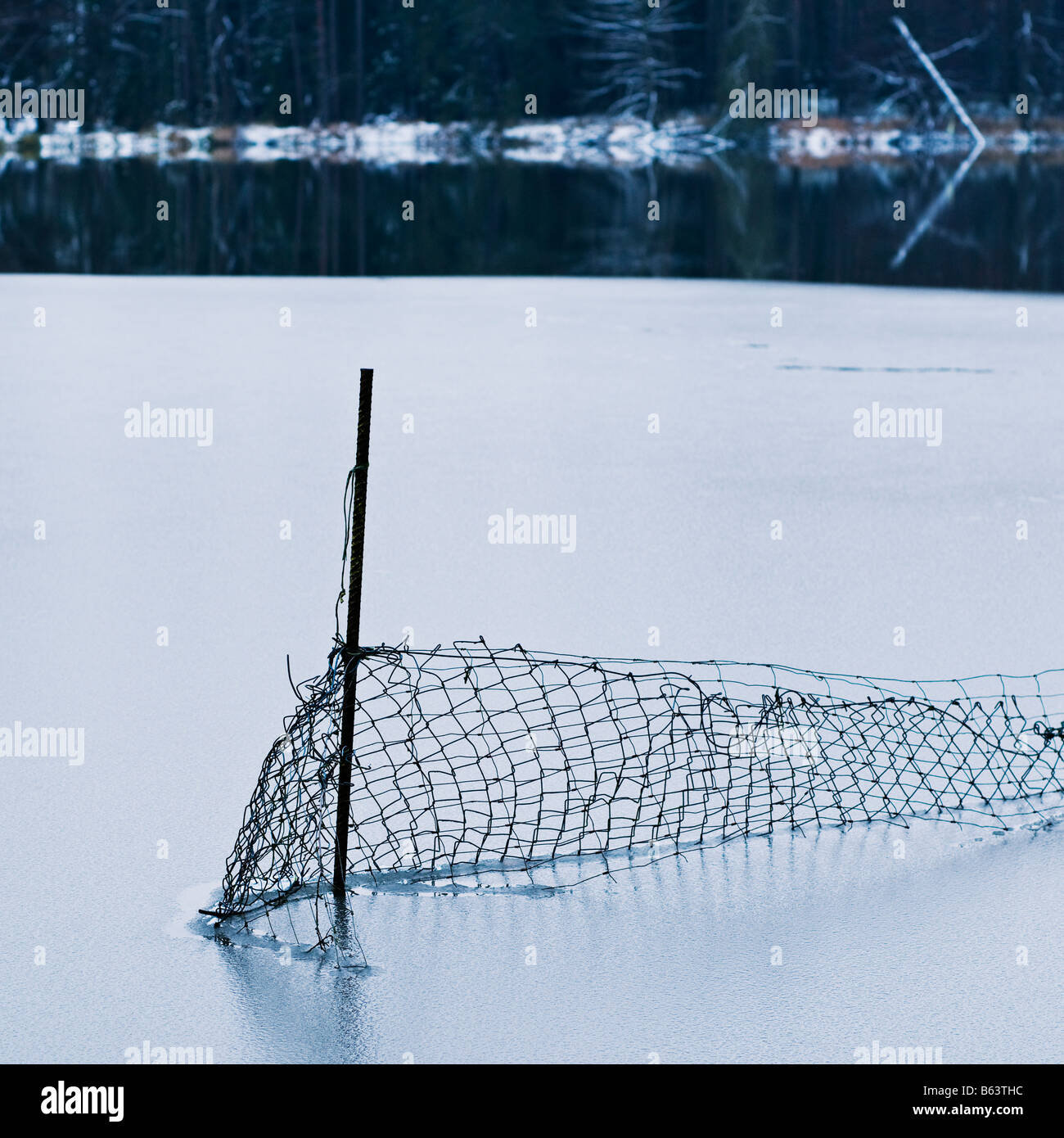 Recinzione si congela in parzialmente congelati lago, Oberpfalz, Baviera, Germania Foto Stock