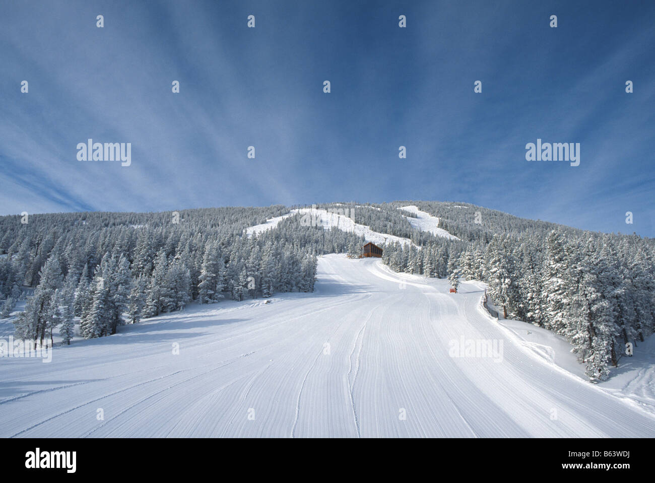 Battute di fresca neve su Turnpike ski run in Red Lodge Montana USA Foto Stock