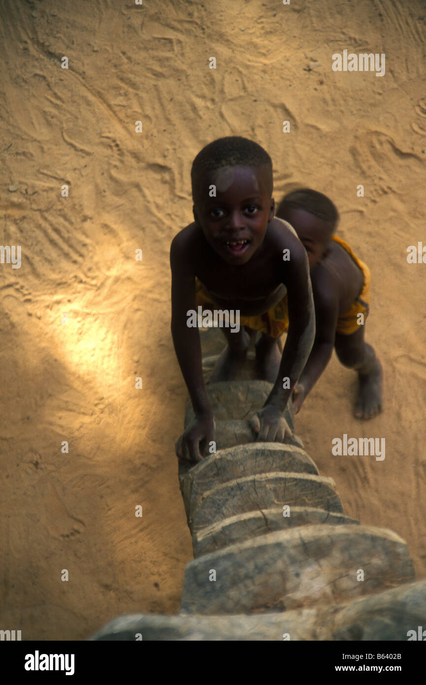 I bambini africani giocando su una scala nel Paese Dogon del Mali Wset Africa Foto Stock