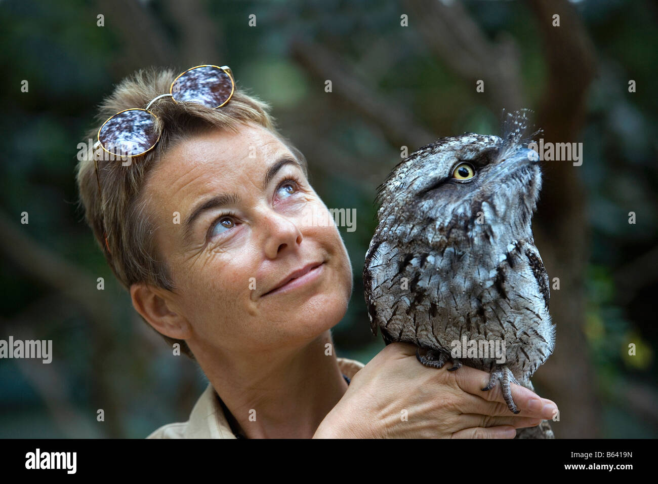 Australia, vicino a Sydney. Featherdale Wildlife Park. Visitatore con Bruno Frogmouth (Podargus Strigoides) sulla spalla di donna Foto Stock