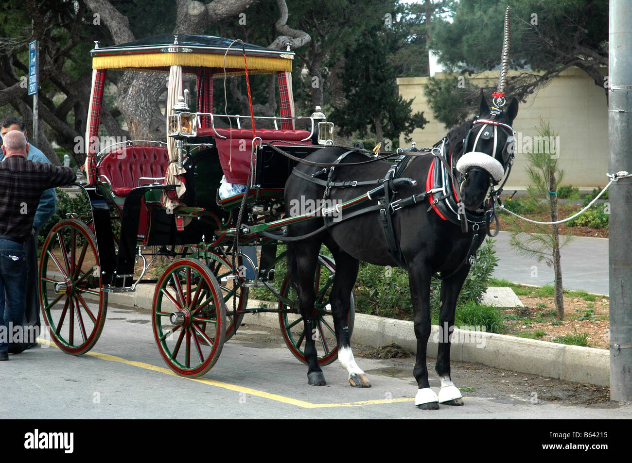 Pittoresca cavallo Maltese Carrige disegnati per il trasporto dei visitatori Medina Malta Foto Stock