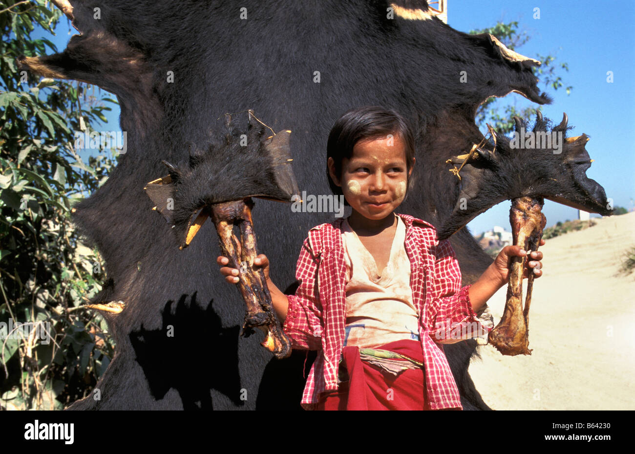 Myanmar (Birmania). Kyaiktyo. Ragazza e shot Himalayan Black Bear (Selenarctos thibetanus). Foto Stock