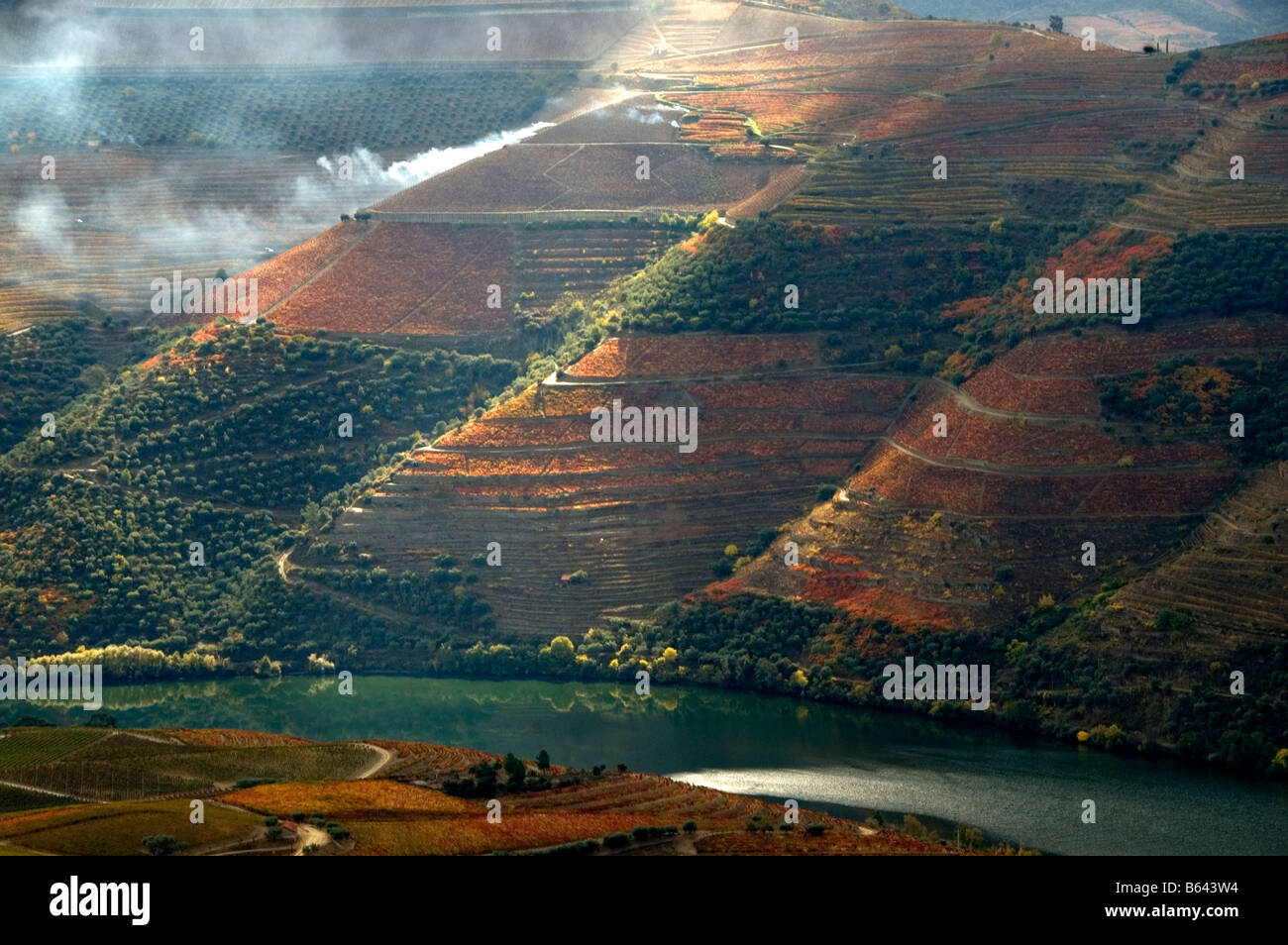 Autunno nella Valle del Douro Foto Stock