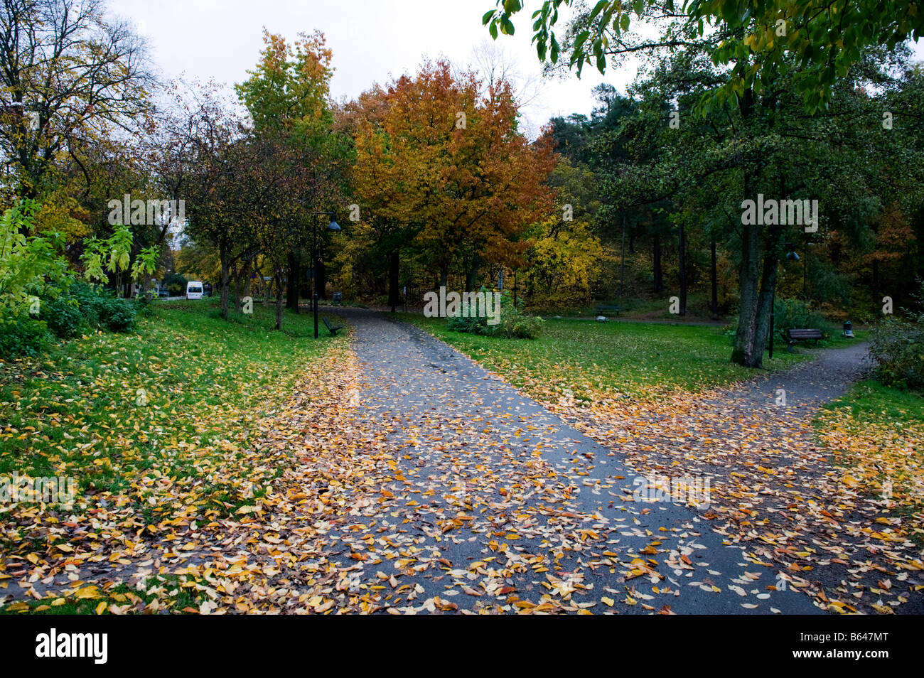 Autunno in vista Gröndal, Liljeholmen, Stoccolma. Foto Stock