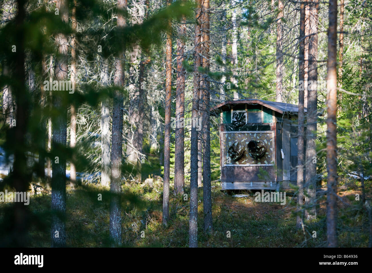 Finlandia, Kuikka lago, vicino a Kuhmo. Arcticmedia. Centro per il turismo e la fotografia della fauna selvatica, nascondere. Foto Stock
