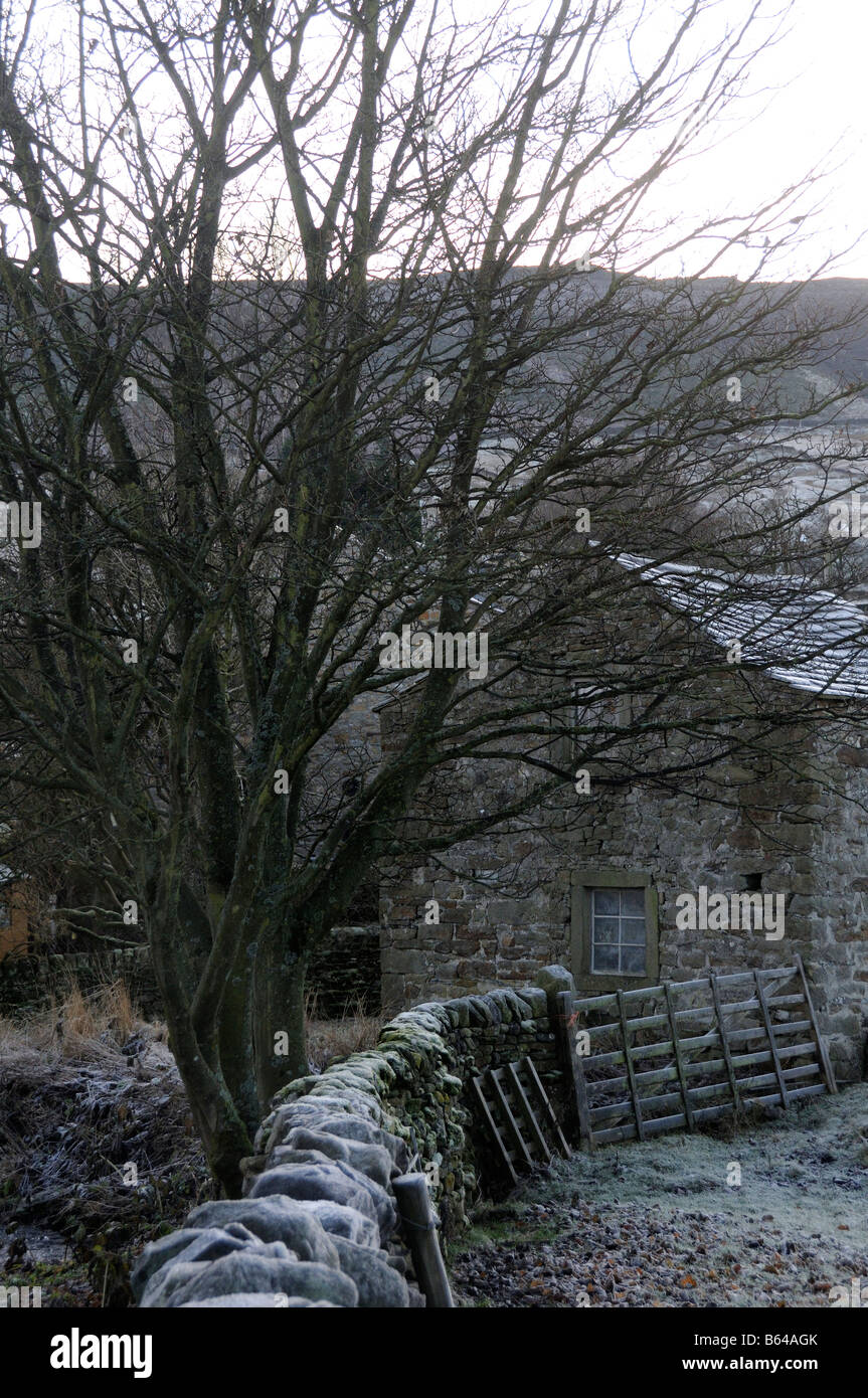 Asciugare la parete in pietra con struttura ad albero e di gate edificio in inverno prese nel villaggio Burnsall nel Yorkshire Dales Foto Stock