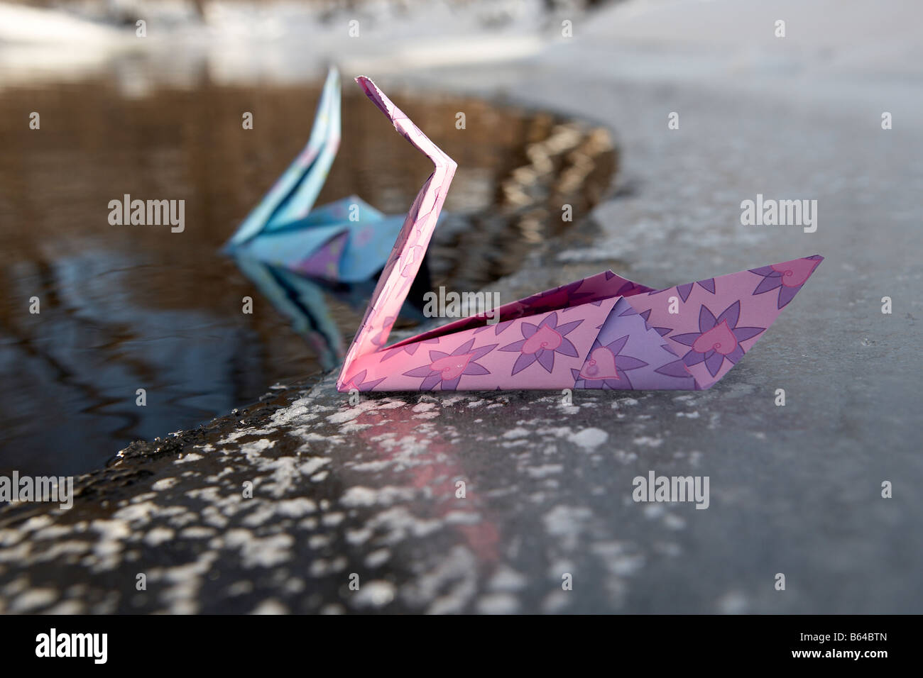 Cigno di origami Foto Stock