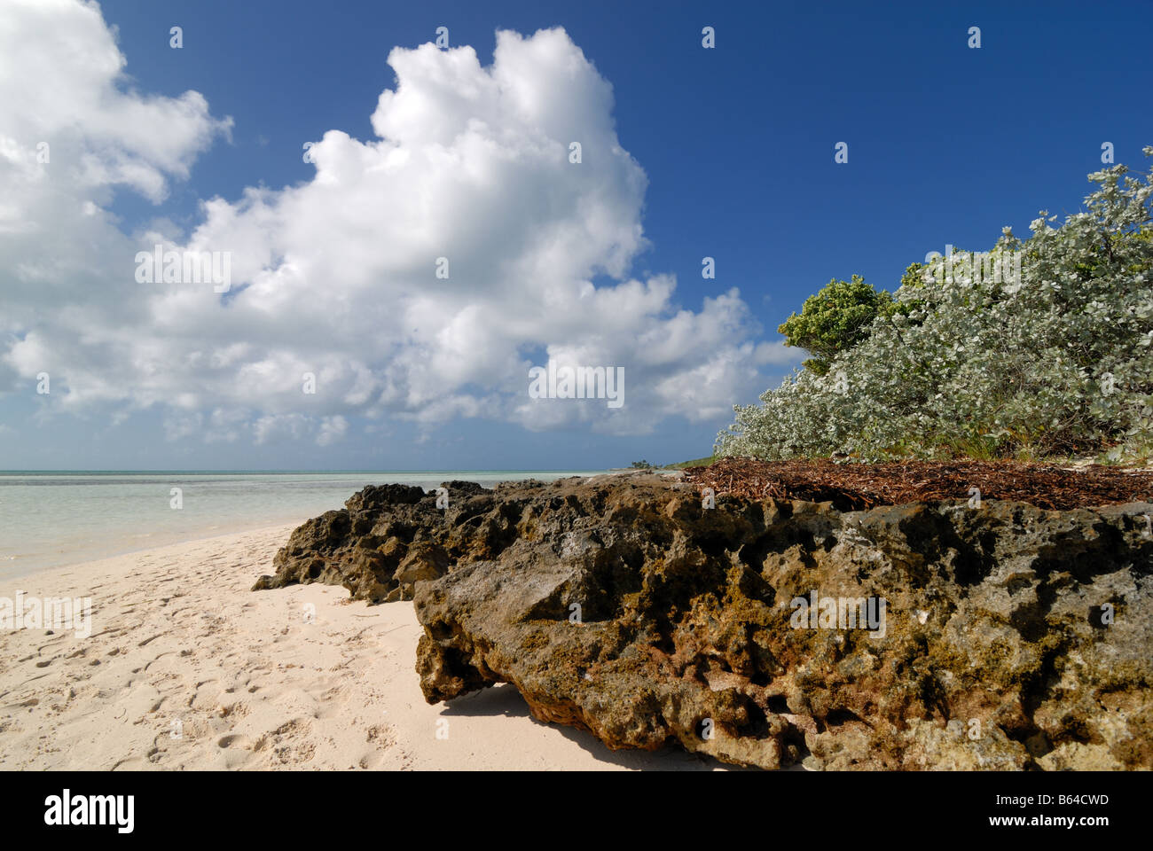 Rocce lungo la spiaggia a poco Staffili Cay, Bahamas - una delle isole di bacca - una raccolta di atolli e piccole isole. Foto Stock