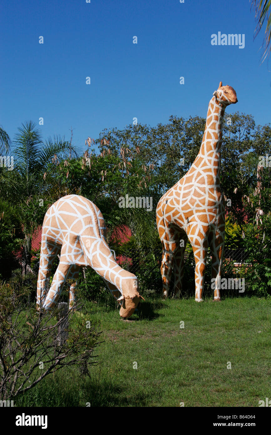 Giraffe falsi Foto Stock