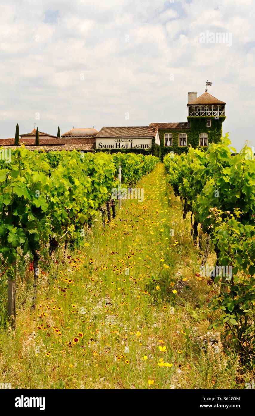 Chateau Smith Haut Lafitte, Bordeaux, Francia Foto Stock