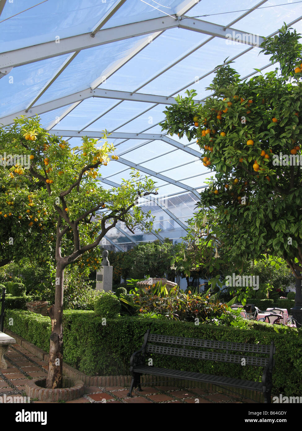 Plaza de los naranjos in inverno Marbella Spagna Foto Stock