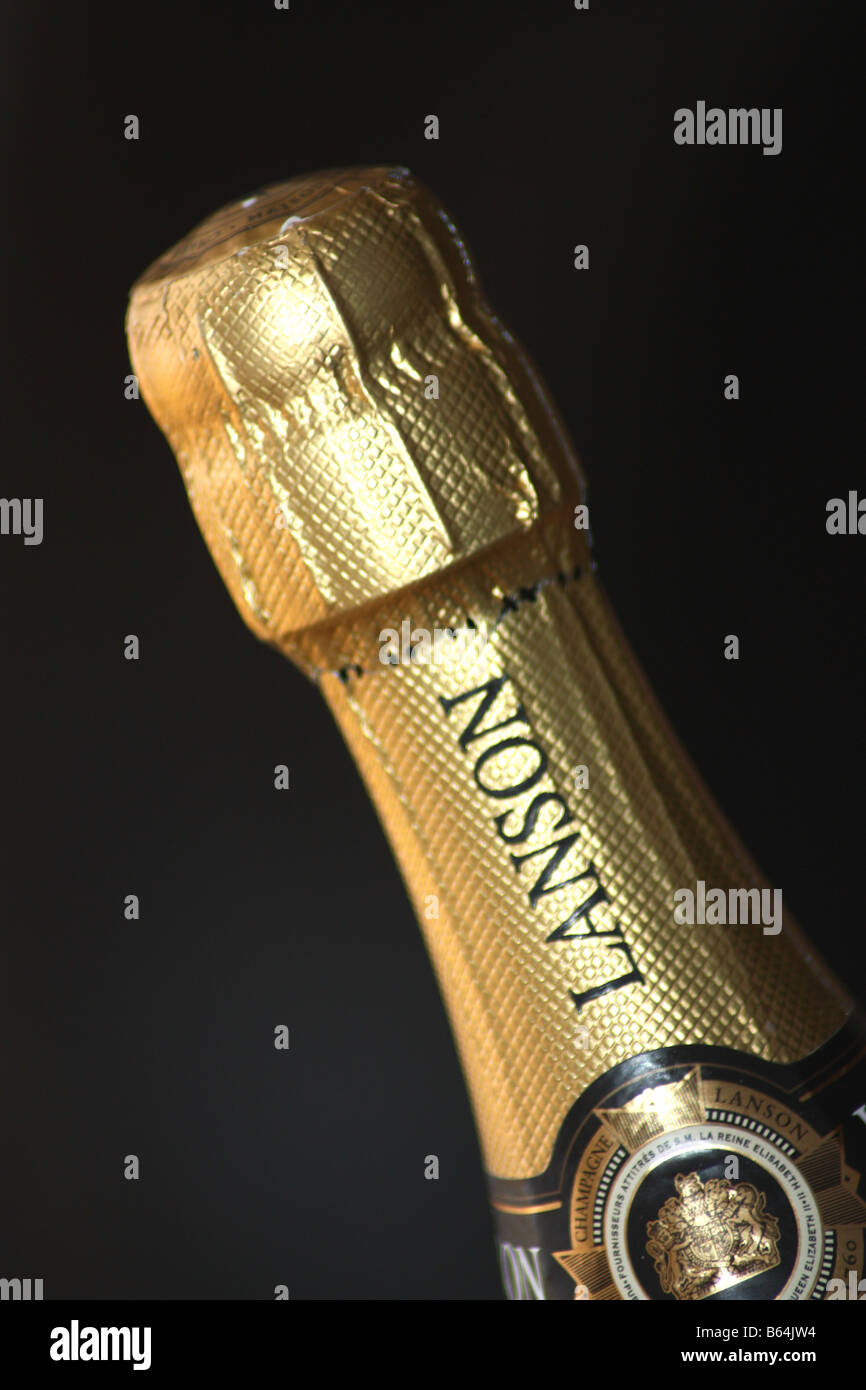 Il Lanson Champagne del collo del flacone. Foto Stock