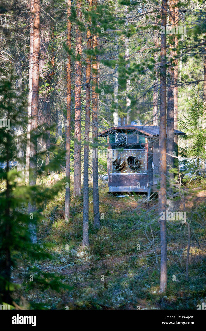 Finlandia, Kuikka lago, vicino a Kuhmo. Arcticmedia. Centro per il turismo e la fotografia della fauna selvatica, nascondere. Foto Stock