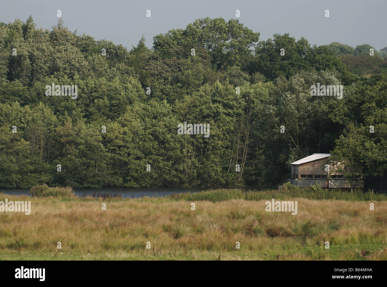 Bassa fienili Wildlife Trust Riserva Naturale della Contea di Durham Foto Stock