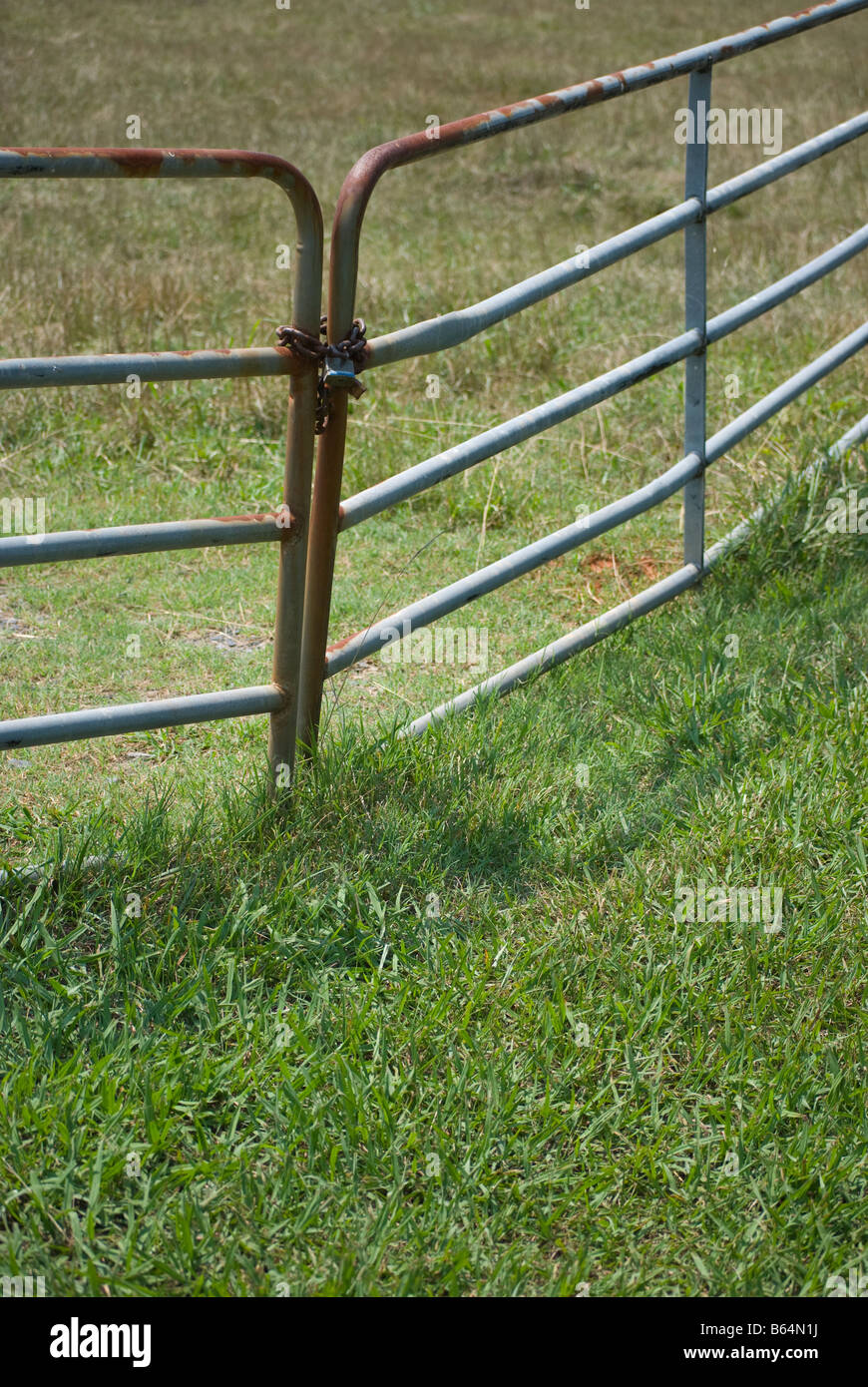 Cancello su un campo verde fissato mediante una catena Foto Stock