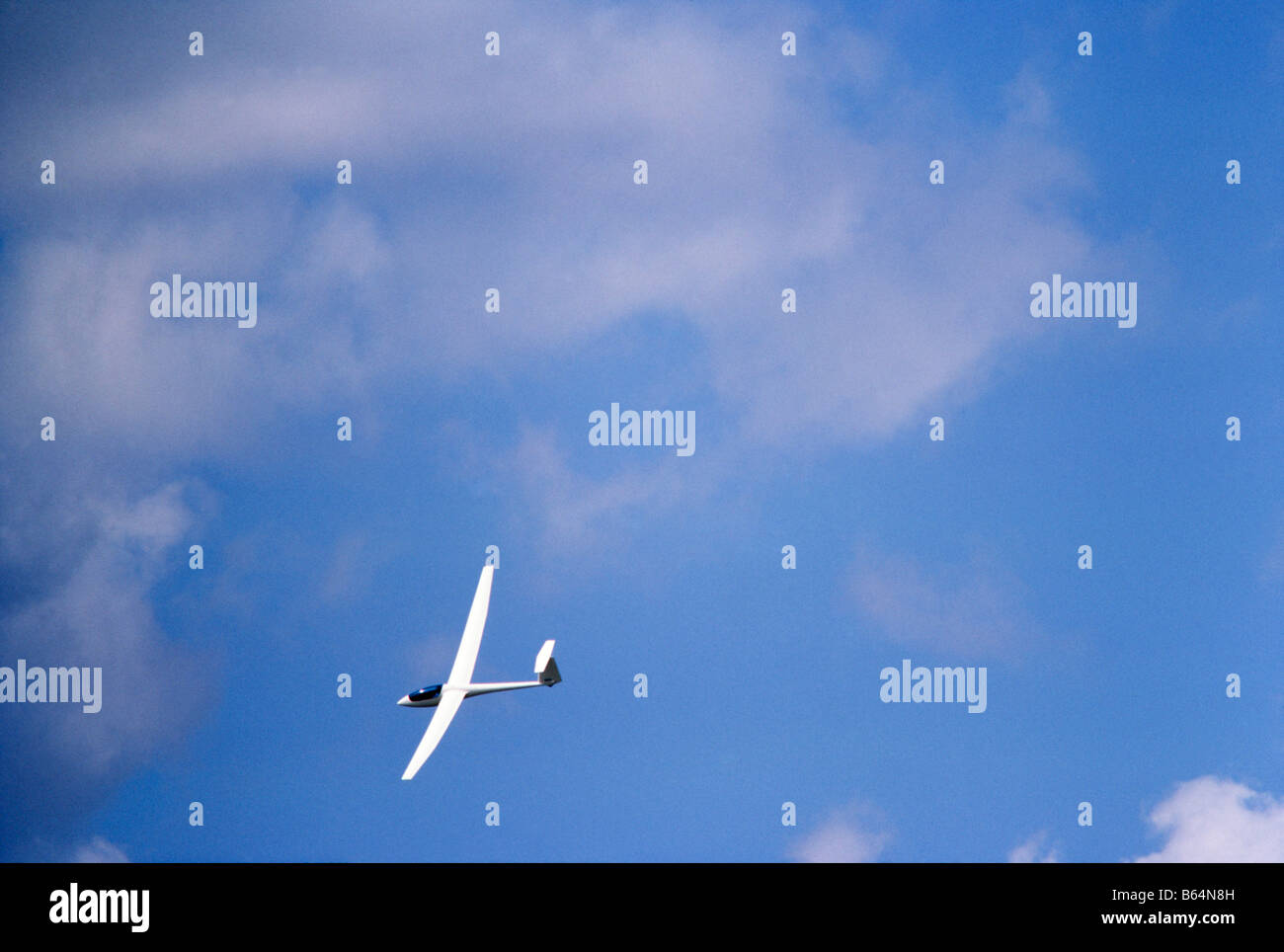 Alianti in volo, il cielo blu, Miami Foto Stock