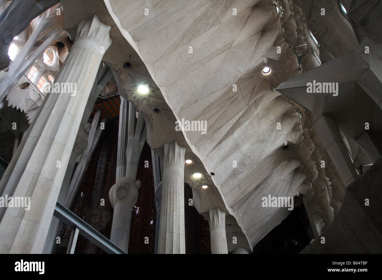 La Sagrada Familia - interno colonne e tetto (il Tempio Expiatori de la Sagrada Família) [Barcellona, in Catalogna, Spagna, Europa].. Foto Stock